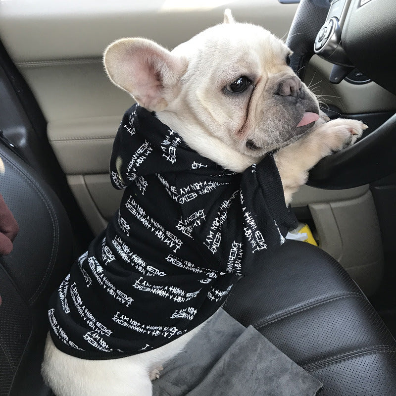 Cooler Hoodie