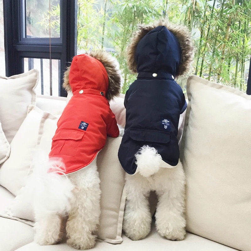 Jacke mit Kapuze