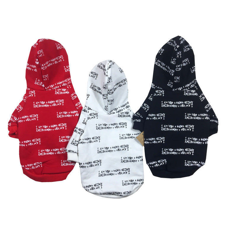 Cooler Hoodie