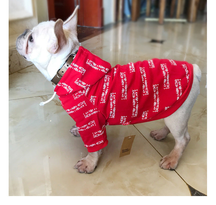 Cooler Hoodie