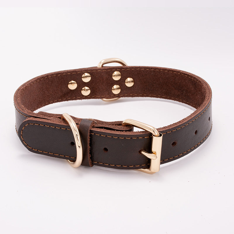 Lederhalsband