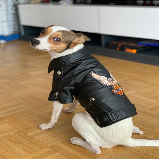 Lederjacke