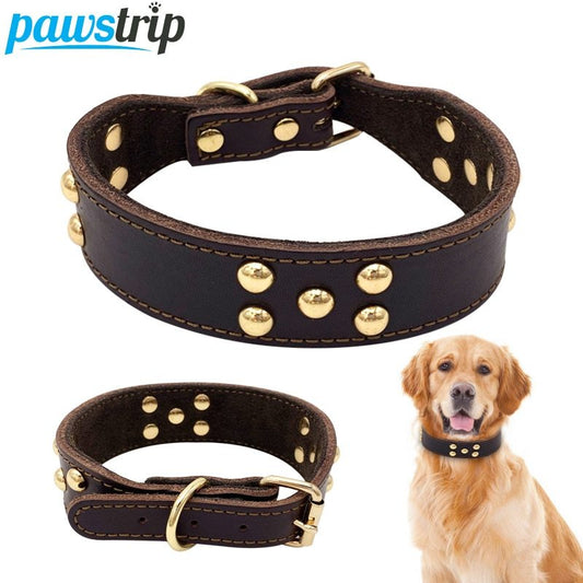 Lederhalsband