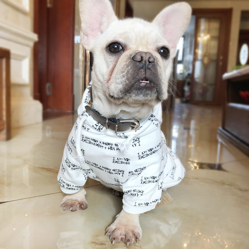 Cooler Hoodie