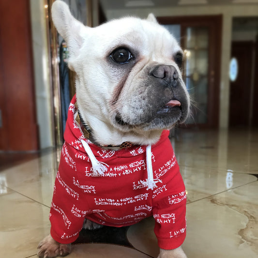 Cooler Hoodie