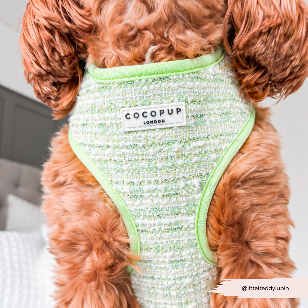 Cocopup Brustgeschirr Tweed