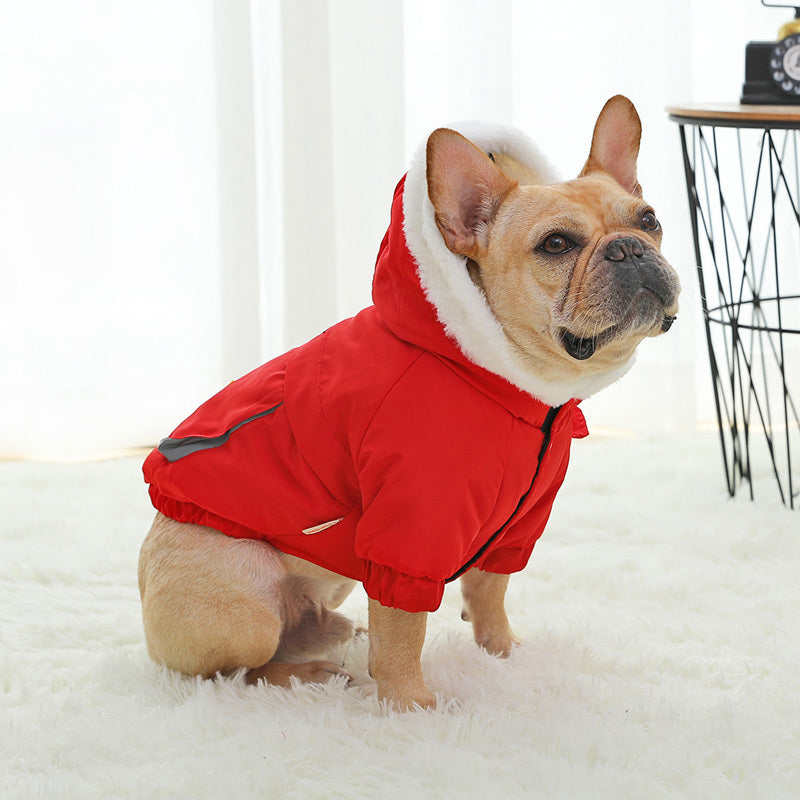 Winterjacke mit Kapuze