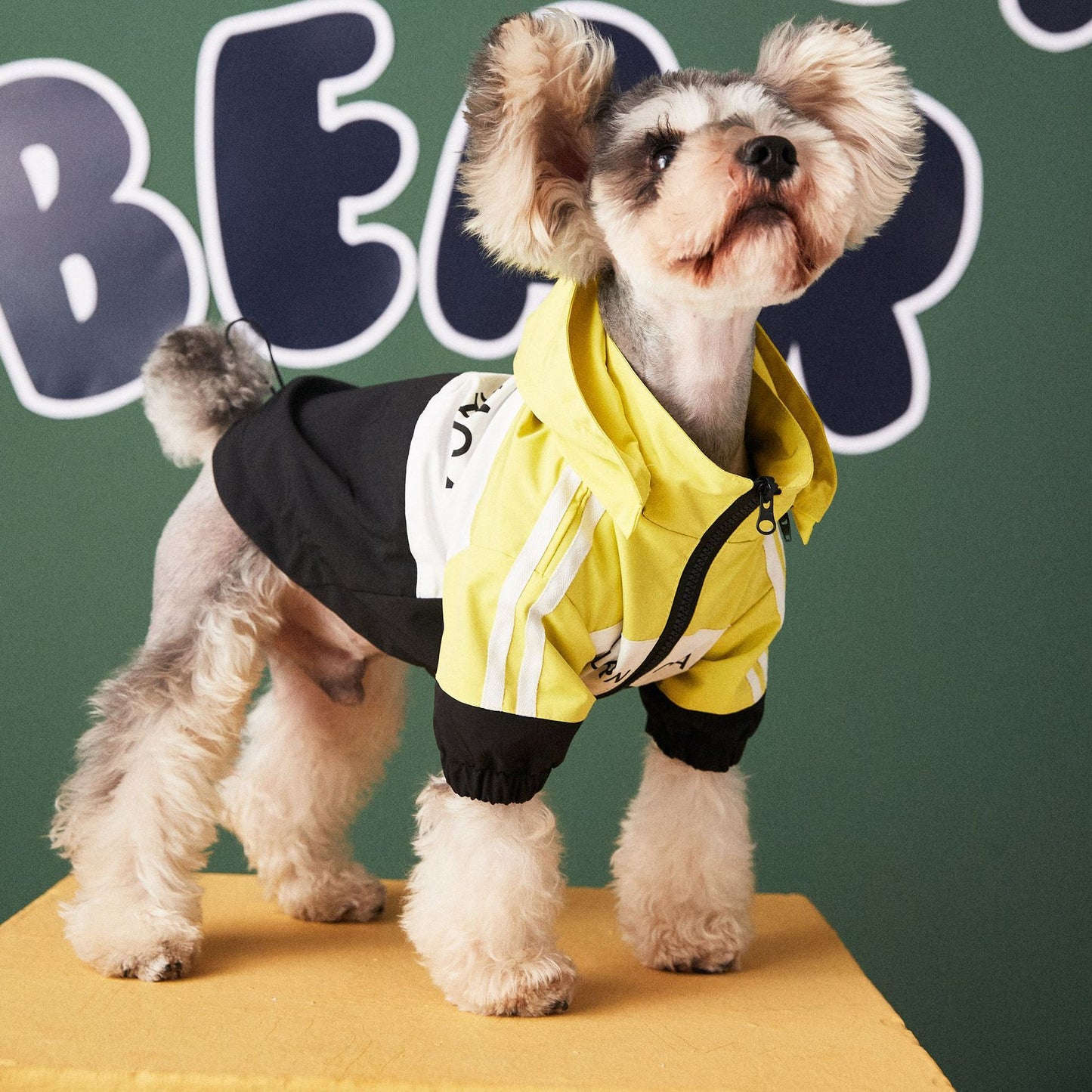 Regenjacke