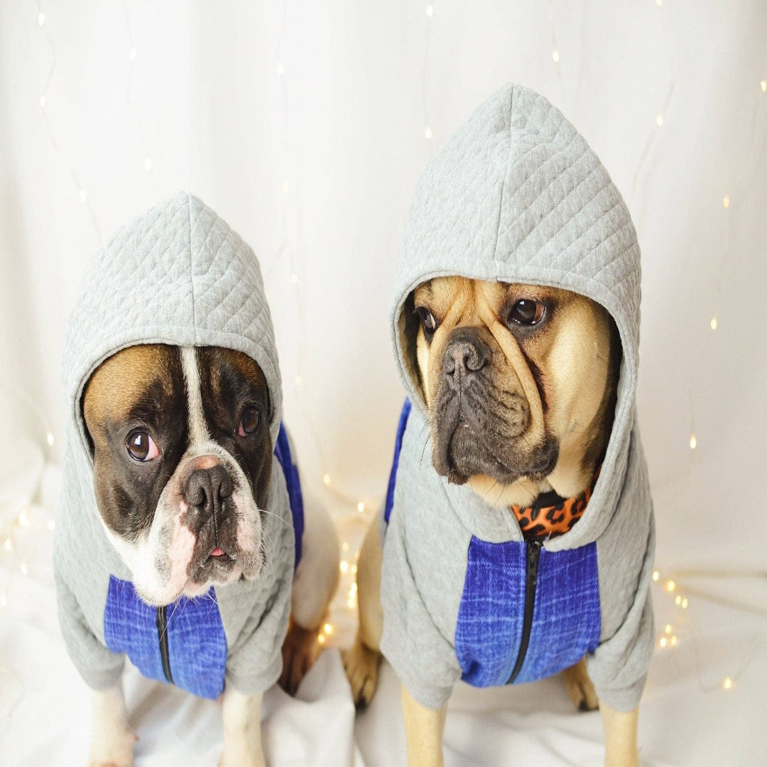 Hoodie mit Reissverschluss