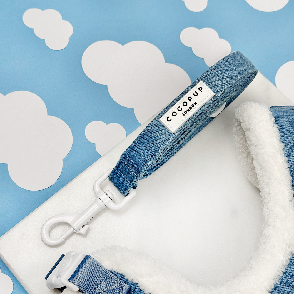 Leine Wolke