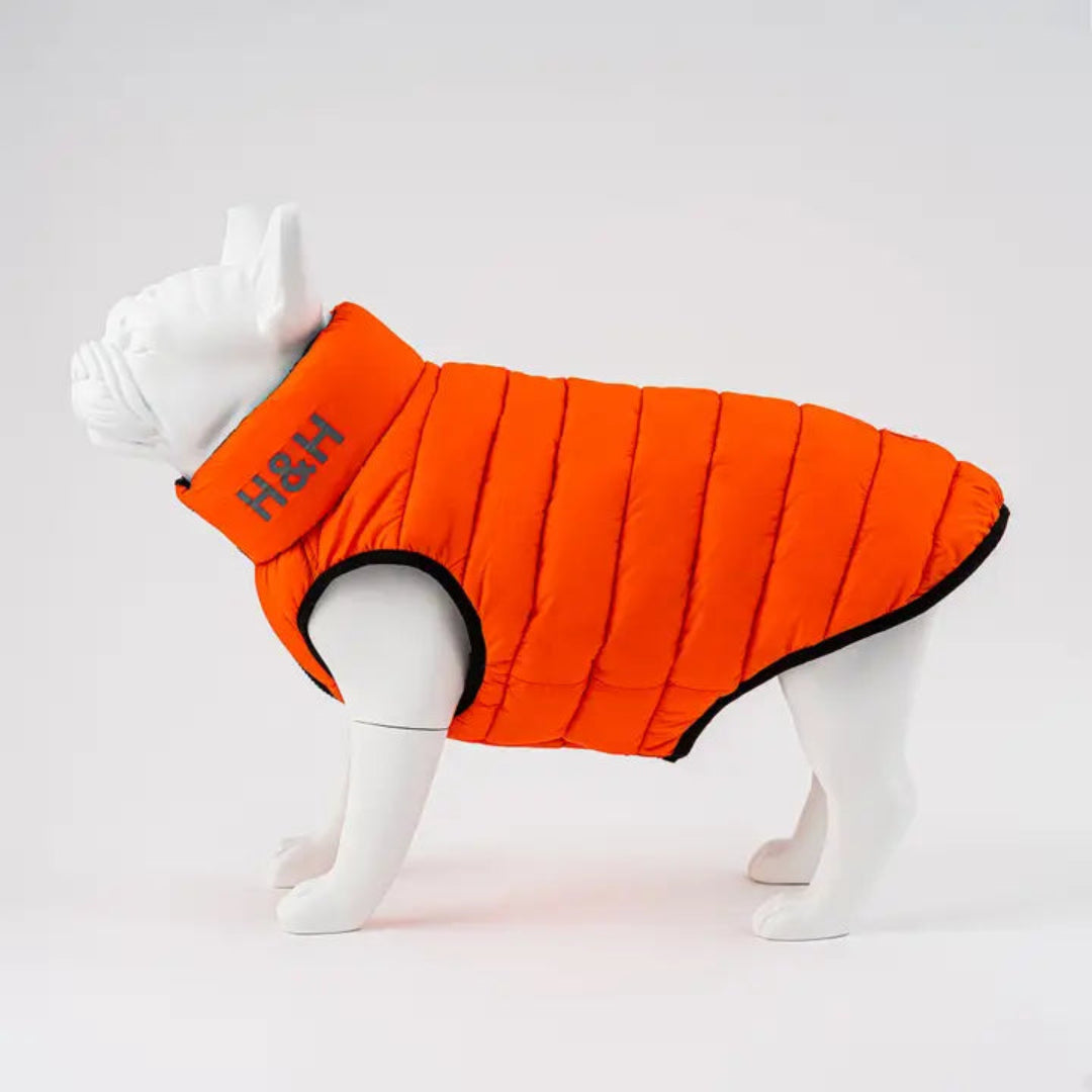 Wendbare Daunenjacke