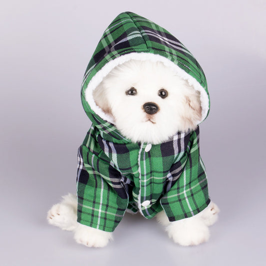 Hoodie mit Knopfleiste
