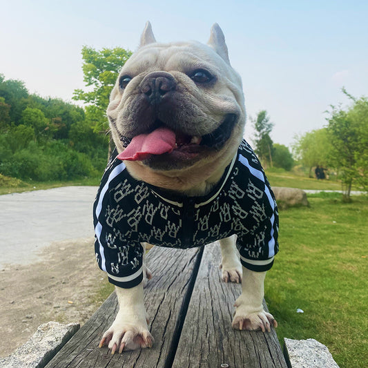 Sweater mit Reissverschluss