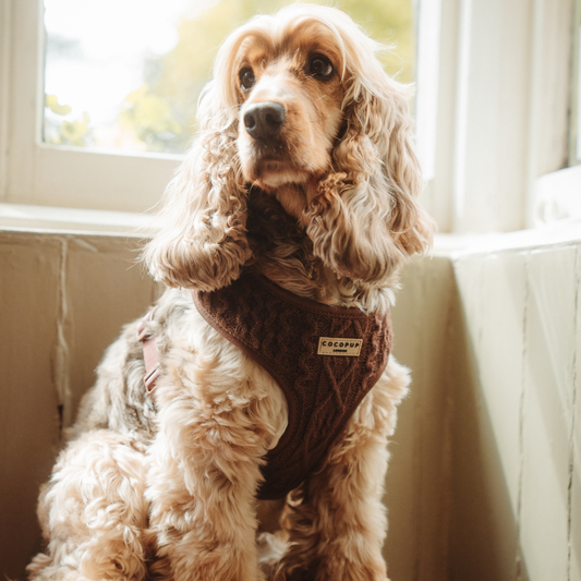 Cocopup Brustgeschirr Strickmuster