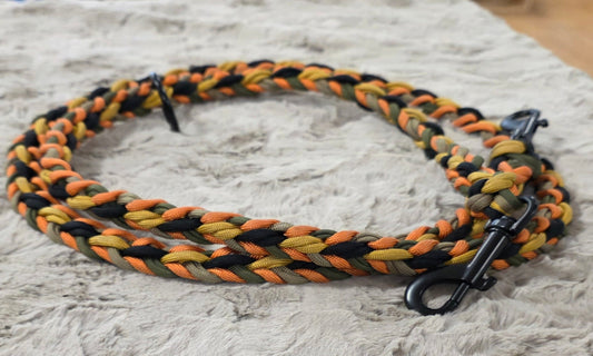 Paracord Leine 4 oder 5 farbig