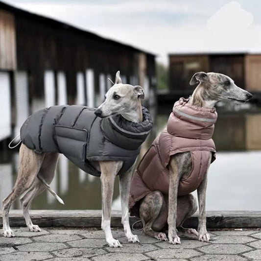 Thermo Gilet