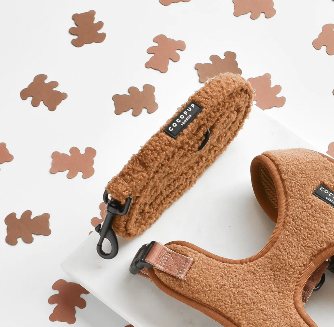 Teddyleine Cocopup